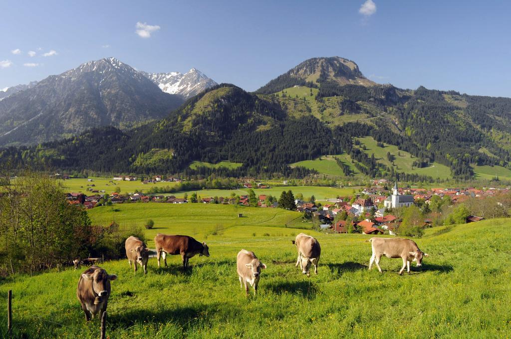 Hotel Garni Malerwinkl Bad Hindelang