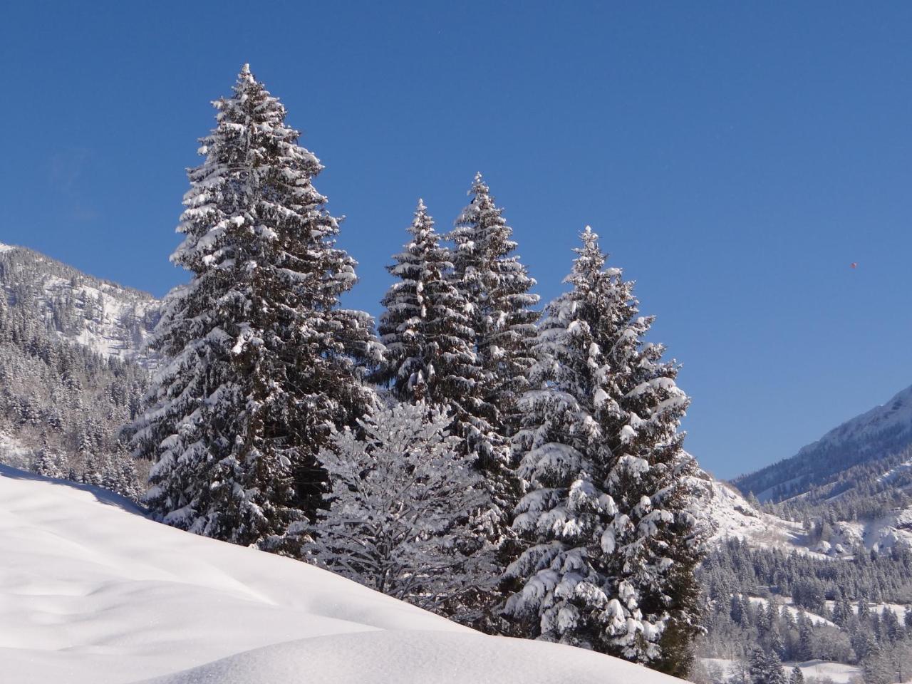 Garni Malerwinkl Bad Hindelang